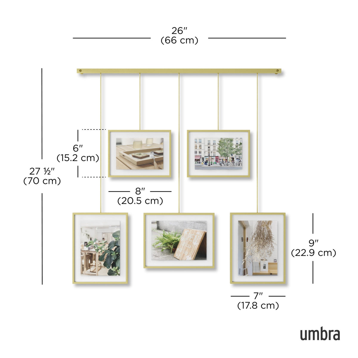 Exhibit Wall Picture Frames, Set of 5